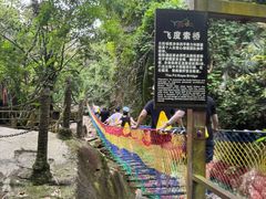 -呀诺达热带雨林