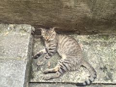 -宝通禅寺
