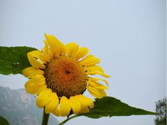 iphone_upload_pic-乌龙峡谷景区