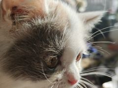 -平行世界·猫咖(首经贸店)