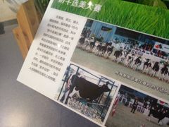 -君乐宝优致牧场