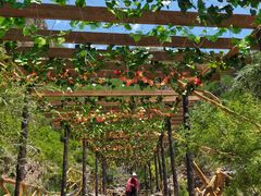 -大平台龙居瀑布旅游区