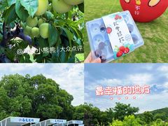 -龙寺生态园