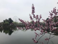 -无锡蠡湖国家湿地公园-蠡园