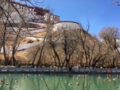 -宗角禄康公园