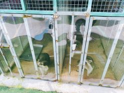 -萌宠亲子动物乐园(槐房万达店)