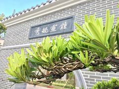 -宝安西湾红树林湿地公园