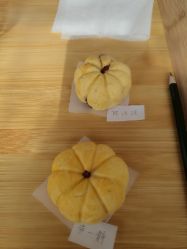-卓玥国际月子会所(罗山路店)