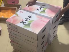 -老袁家蜜桃农场·阳山水蜜桃