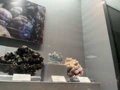 -湖南省地质博物馆