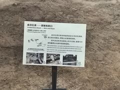 -南越王博物院(王宫展区)
