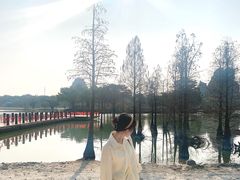 -南宁花花大世界景区