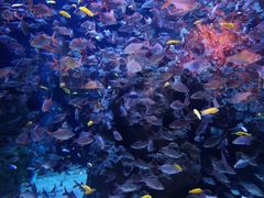 -成都浩海立方海洋公园