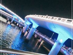 -演武大桥观景平台