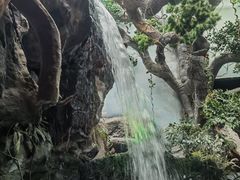 -多彩贵州城极地海洋世界