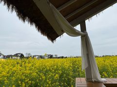 -桤木河湿地公园