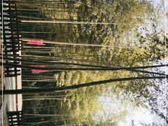 -陶祖圣境风景区