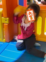 点击看大图 -宝燕乐园(闵行旗舰店)