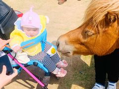 -安徽大青山野生动物世界
