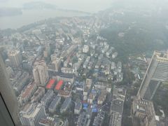 -紫峰大厦