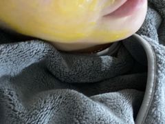 -正佳金殿维福顿公寓(广州正佳广场体育西路地铁站店)