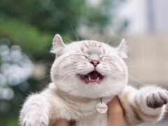 -湖州国芳粽子(湖州总店)