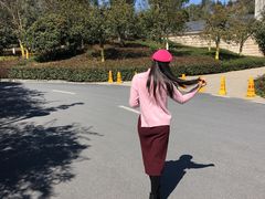 -美丽洲堂