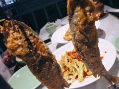 垂钓小黄鱼-北平盛世·新京菜·北京烤鸭(劲松·双井店)