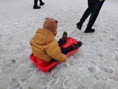 -沈阳奥体冰雪嘉年华