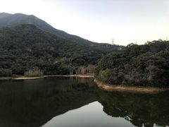 -梧桐山风景名胜区