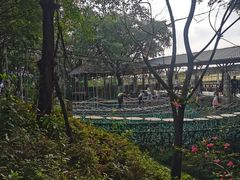 -盈香心动乐园