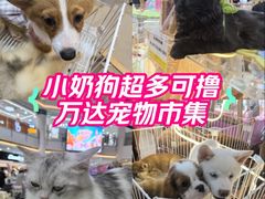 -宁波鄞州万达广场