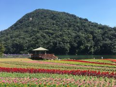 -广州市石门国家森林公园