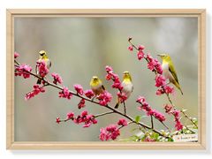 -金陵之星大酒店·中餐厅