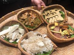 -滇野云南野生菌餐厅(陕西南路店)