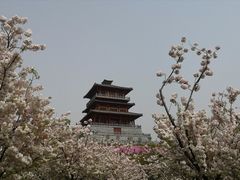 -古柏渡飞黄旅游区