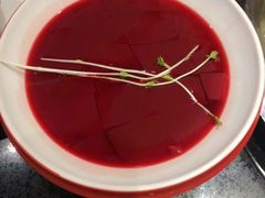 -潘小辣鲜肉老火锅