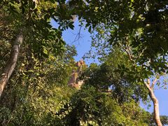 -七仙岭温泉国家森林公园