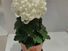 -汇龙潭