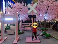 -金茂览秀城