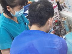 -芭比堂动物医院(广州爱宠下渡路分院)