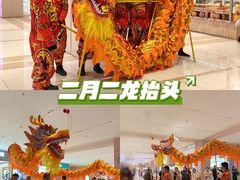 -凯德MALL(望京店)