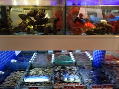 iphone_upload_pic-金苑海鲜酒家(来魅力店)