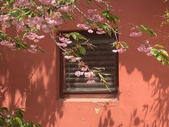 -石岛赤山风景区