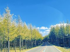 -塞罕坝国家级自然保护区