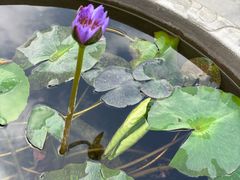 -凯威大酒店(海口秀英码头店)