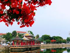 -龙舟池
