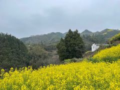 -新安江山水画廊风景区