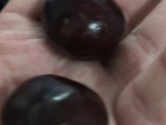 -南京众彩农副产品配送有限公司
