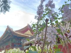 -北京市劳动人民文化宫(太庙)